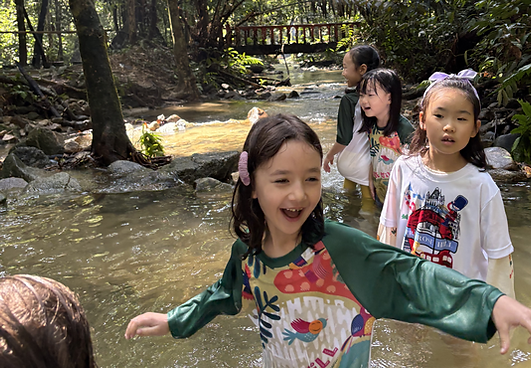 Primrose Hill children exploring a stream during Forest Studies