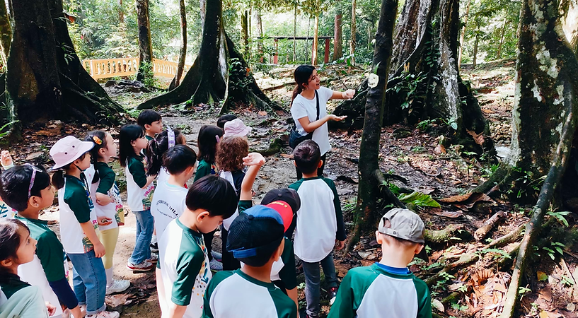 Children listening during a guided forest activity