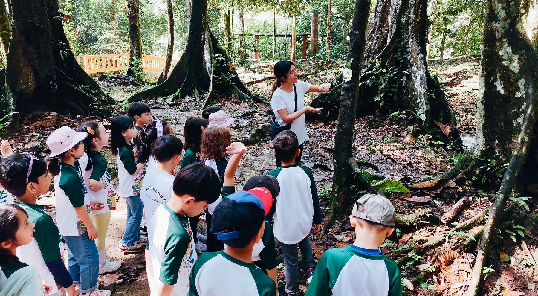 Primrose Hill children learning together in a forest setting